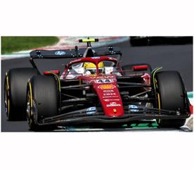 LOO F1079